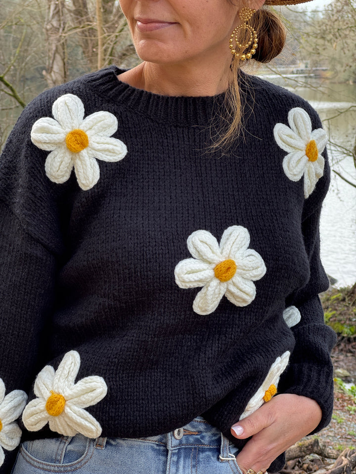 Pull noir marguerite écru col rond COQUELICOT