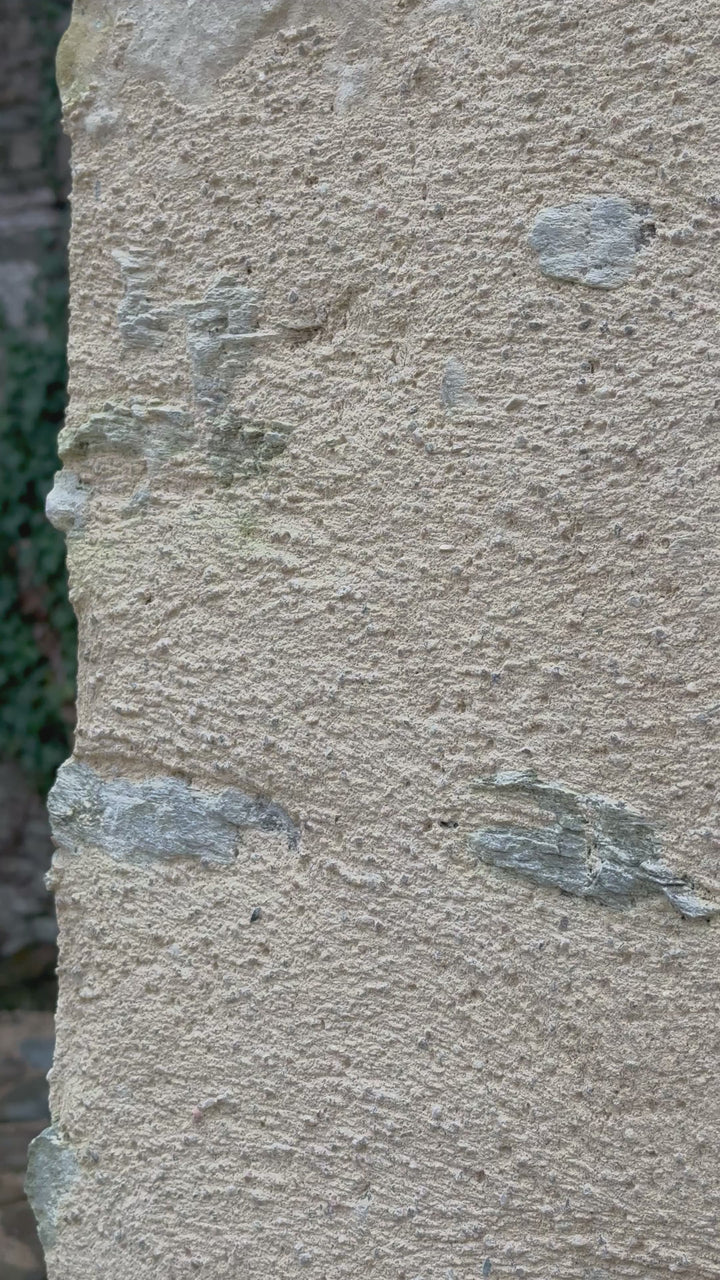 Chemise beige brodée col chemise SOLENE